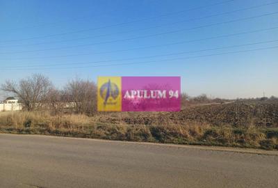 Teren Construcții intravilan de 8800 mp, în Săbăreni - 2