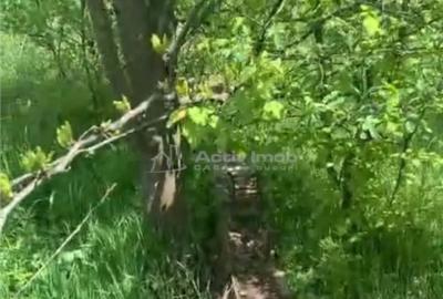 Teren în Găneasa - 5