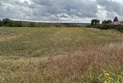 Teren în Pantelimon - 10