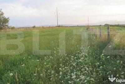 Teren de 6000 mp, în Turda - 8