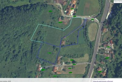 Casă cu 3 camere cu Teren 12861 Mp în Luncoiu de Jos - 20