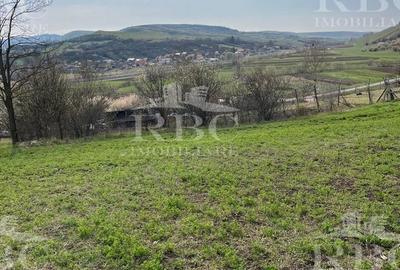 Teren extravilan de 6300 mp, în Gârbău - 2