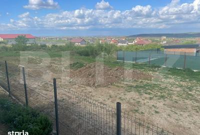 Casă cu 3 camere cu Teren 335 Mp în Paleu - 4