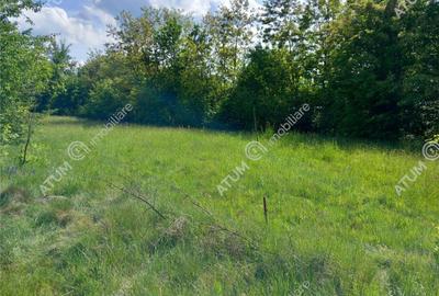 Teren intravilan 2100 mp de pe Valea Avrigului in Sibiu - 3