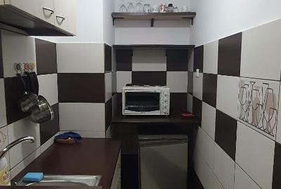 Garsonieră decomandată în Costin Georgian - 11