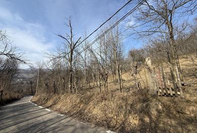 Teren Construcții intravilan de 2788 mp, în Central - 20