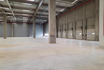 Spatiu Industrial - 5000 mp - Logistica - Productie - Depozitare - Distributie - 10