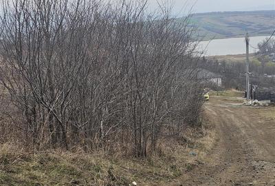 Teren Construcții intravilan de 9000 mp, în Ciurbești - 2