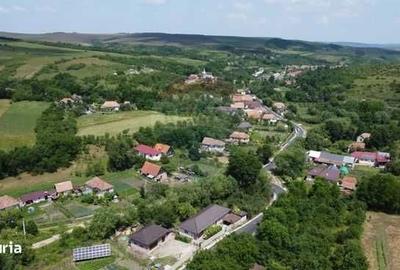 Spațiu comercial, în Satu Lung - 3