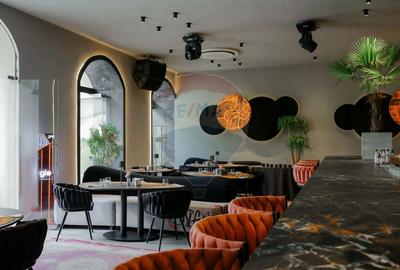 De vanzare -- Spatiu comercial parter 409 mp, Vasile Alecsandri - 30