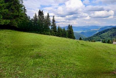 Spațiu comercial, în Bicaz-Chei - 4
