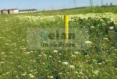 Domnesti - Str Cetinei, 718 Mp Intravilan, Deschidere 28, Utilitati - 7