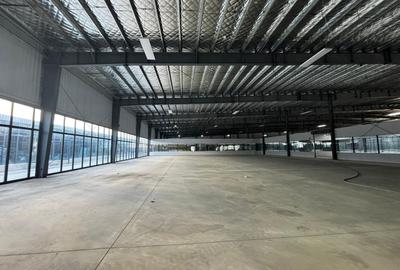 Spațiu comercial, de 1,000 mp, în Afumați - 4