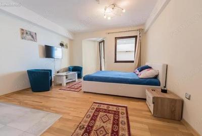 Garsoniera de inchiriat in zona 1 Decembrie - 2