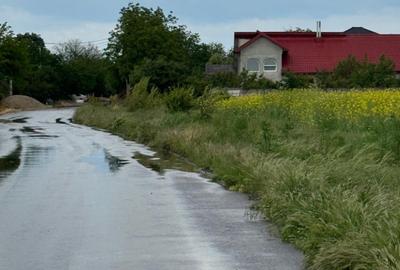 Teren intravilan de 8000 mp, în Adunații-Copăceni - 6
