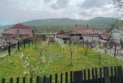 Casă cu 3 camere cu Teren 1760 Mp în Meteș - 20