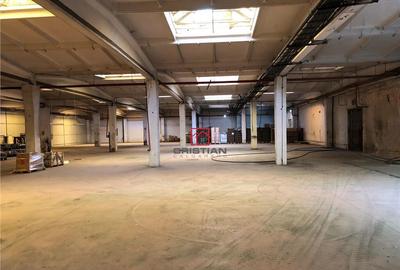 Hala/depozit/spatiu industrial Jilava - Giurgiului, ILFOV Hala/depozit/spatiu industrial Jilava - Giurgiului, ILFOV - 6