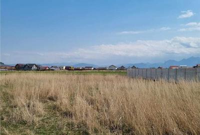 Teren Intravilan de 1511mp cu PUZ aprobat zona Sanpetru - 7