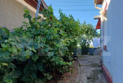 Casa renovabila, 2 camere, zona Cetate - 14