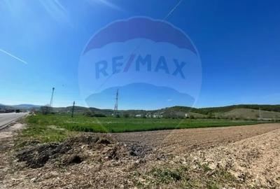 Teren de 1600 mp, în Cristian