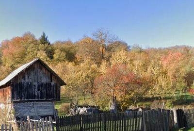 Teren de 4830 mp, în Godeni - 3