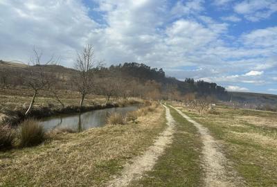 Casa 3 dormitoare, 128mp, 4750mp teren, piscina, cuptor de paine , Casolt - 20