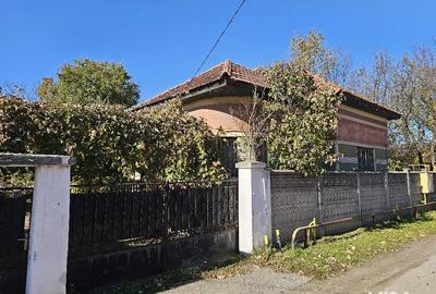 Casa de vanzare Petreni - 3