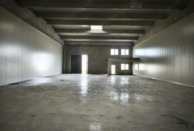 Spațiu comercial, de 523 mp, în Sânandrei - 2