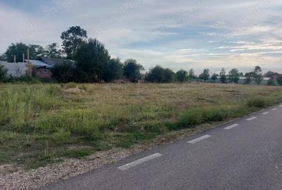 Inchiriere teren intravilan, zona Gura Sutii - Dambovita - 1