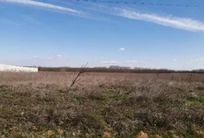 Teren de 4582 mp, în Jiana - 2