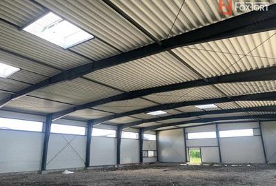 Hala de inchiriat cu platforma betonata de 1334 mp, zona Sanandrei - 5