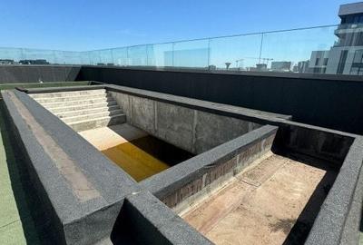 PENTHOUSE CU PISCINA AVIATIEI + CADOU APARTAMENT 2 CAMERE!!! - 20