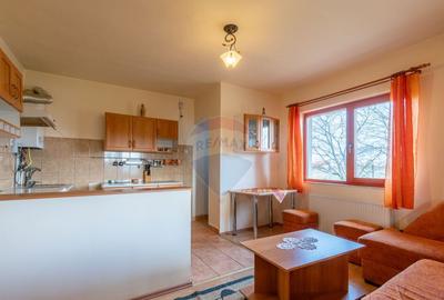 Casa de vanzare Jucu de Mijloc, Zona Panemar Teren intrav... - 9