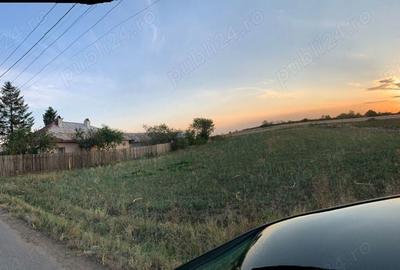 Teren de 2500 mp, în Copaciu - 10