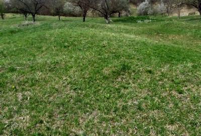 Spațiu comercial, în Central - 1