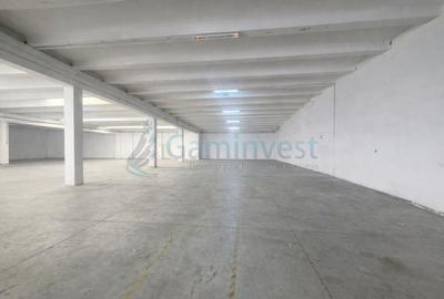 Spațiu industrial, de 1,010 mp, în Exterior Vest - 3