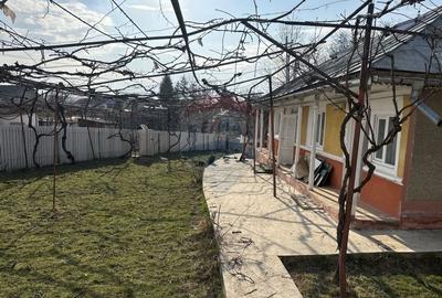 Casă cu 3 camere cu Teren 2609 Mp în Bârgăuani - 4