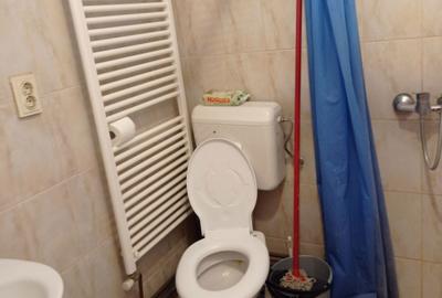Garsonieră decomandată în Vlădeni - 6
