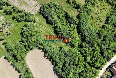 Teren intravilan 4600mp in Oarda de Sus - 4