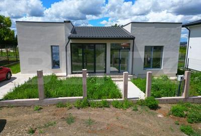 Casa deosebita plan parter cu 4 camere in Visani - 3