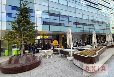 America House – Birouri clasa A in Piata Victoriei, Comision 0% - 6