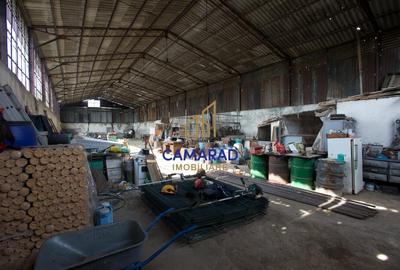 Proprietate cu casa si teren de 9000 mp - ideal investitie - Fundeni/Calarasi - 2