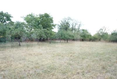 Teren de 1777 mp, în Buda (Ariceștii Rahtivani) - 6