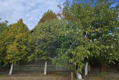 Casă individuală cu 3 camere cu Teren 7290 Mp în Socodor - 11