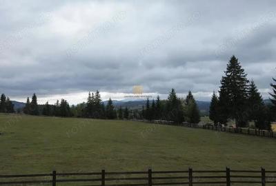 Teren 2804 mp, la munte! In Bucovina Fundu Moldovei! - 17