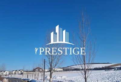 Teren agricol extravilan de 6695 mp, în Șura Mare - 3