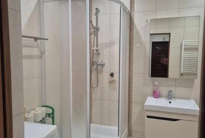 Apartament cu o camera de inchiriat in zona Lipovei - 2