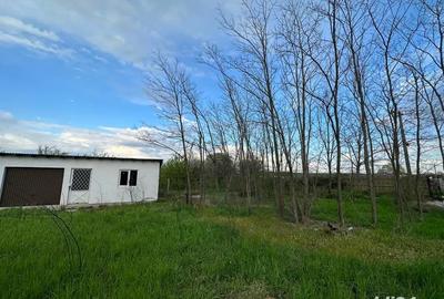 Teren de 1800 mp, în Dumitrești