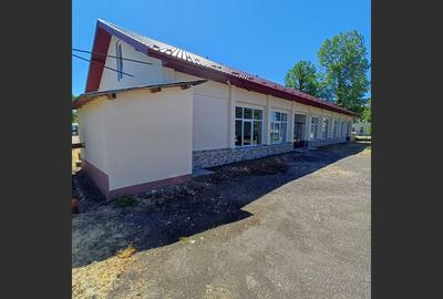 Spațiu comercial de inchiriat, la drum principal, localitatea Daia - 4