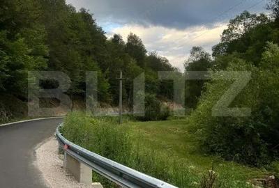 Casa 100 mp utili 4 camere 1,6 ha teren aproape de Trans Apuseana - 7